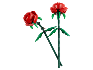 40460 Roses