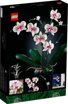 10311 Orchid