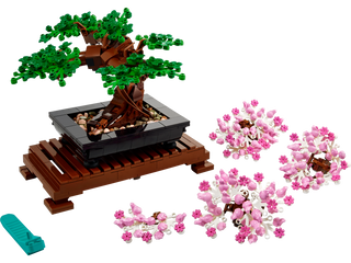 10281 Bonsai Tree