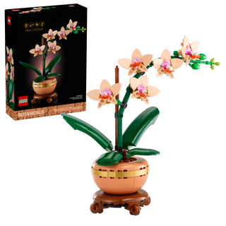 10343 Mini Orchid