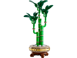 10344 Lucky Bamboo