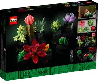 10309 Succulents