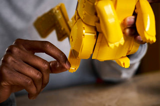 72152 Pikachu and Poké Ball