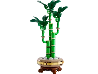 10344 Lucky Bamboo