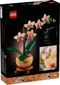 10343 Mini Orchid