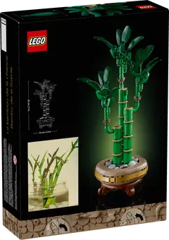 10344 Lucky Bamboo